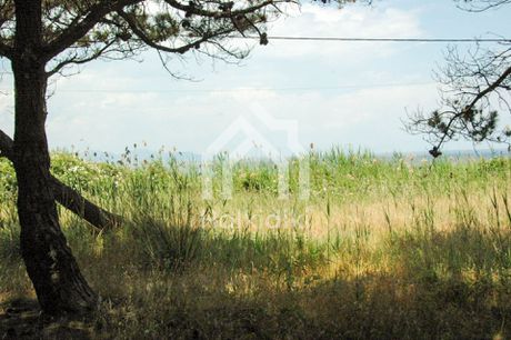 Αγροτεμάχια 25.687τ.μ. για πώληση-Παναγιά » Κέντρο