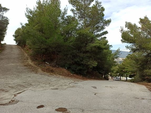 Land plot 275 sqm for sale, Athens - East, Paiania