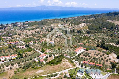 Αγροτεμάχια 8.000τ.μ. για πώληση-Κασσάνδρα » Κασσανδρηνό