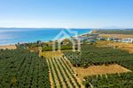Land plot 1.560sqm for sale-Sithonia » Parthenonas