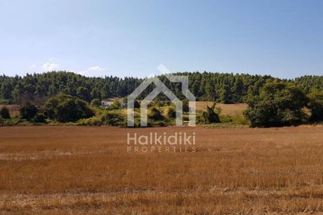 Αγροτεμάχια 4.200τ.μ. για πώληση-Κασσάνδρα » Κασσανδρηνό