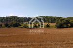 Parcel 4.200sqm for sale-Kassandra » Kassandrino