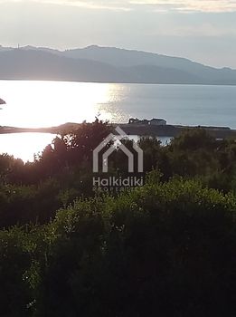 Αγροτεμάχια 8.000τ.μ. για πώληση-Κασσάνδρα » Κασσανδρηνό
