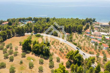 Parcel 3.300sqm for sale-Sithonia » Parthenonas