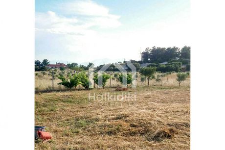 Οικόπεδο 1.811τ.μ. για πώληση-Τριγλία » Νέα τρίγλια