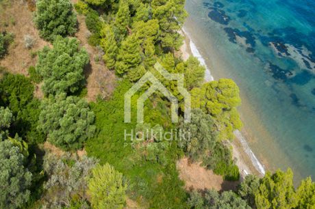 Αγροτεμάχια 9.884τ.μ. για πώληση-Κασσάνδρα » Κασσανδρηνό