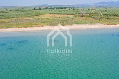 Αγροτεμάχια 10.200 τ.μ. για πώληση