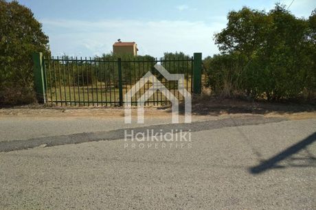 Αγροτεμάχια 2.260τ.μ. για πώληση-Τριγλία » Νέα τρίγλια