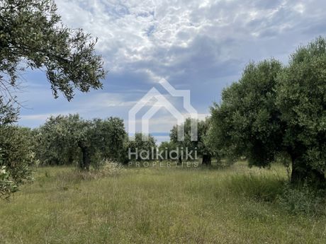Αγροτεμάχια 9.312τ.μ. για πώληση-Σιθωνία » Παρθενώνας