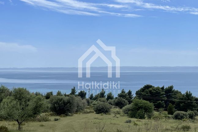 Parcel 6.000 sqm for sale, Chalkidiki, Sithonia