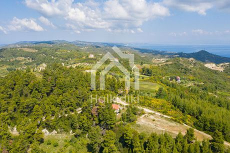 Αγροτεμάχια 766τ.μ. για πώληση-Κασσάνδρα » Κασσανδρηνό