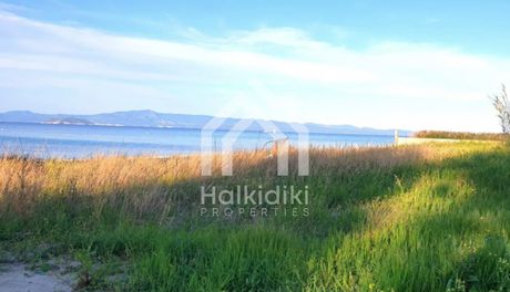 Αγροτεμάχια 5.000τ.μ. για πώληση-Κασσάνδρα » Κασσανδρηνό