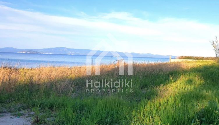 Αγροτεμάχια 5.000 τ.μ. για πώληση, Χαλκιδική, Κασσάνδρα