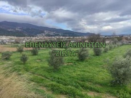 Αγροτεμάχια 3.180 τ.μ. για πώληση