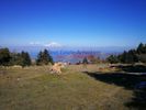 Land plot 11.000sqm for sale-Diakopto » Ano Diakofto