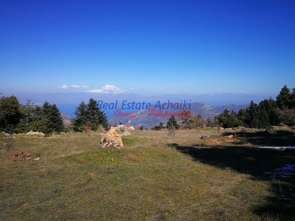 Οικόπεδο 11.000 τ.μ. για πώληση, Αχαΐα, Διακοπτό