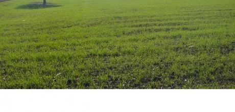 Land plot 135sqm for sale-Polichni » Agios Panteleimonas