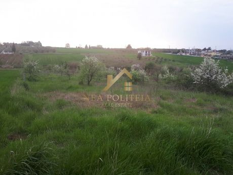 Land plot 8.000sqm for sale-Michaniona » Nea Kerasia