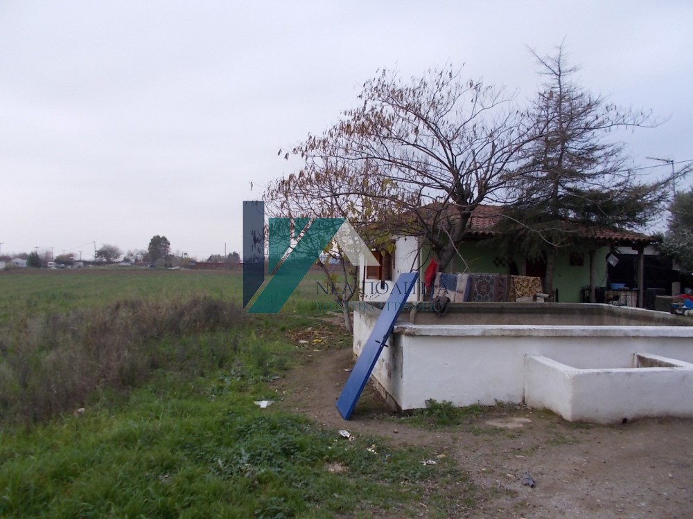 Αγροτεμάχια 7.500 τ.μ. προς πώληση, Διαβατά