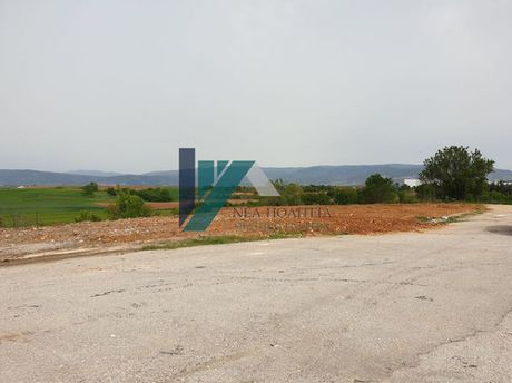 Land plot 11.000sqm for sale-Drama » Choristi