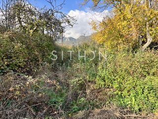 Αγροτεμάχια 1.002 τ.μ. για πώληση