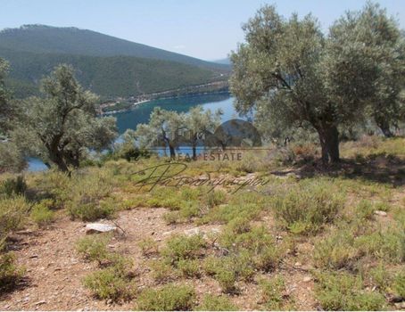 Αγροτεμάχια 6.020τ.μ. για πώληση-Σηπιάδα » Μαραθιάς