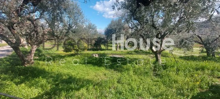 Land plot 3.392 sqm for sale, Achaia, Erineo