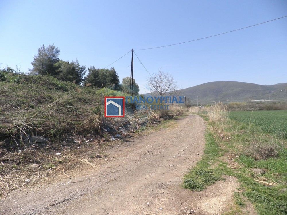 Αγροτεμάχια 8.800 τ.μ. προς πώληση, Μελίσσια Στυλίδας