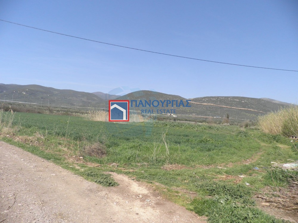Αγροτεμάχια 8.800 τ.μ. προς πώληση, Μελίσσια Στυλίδας