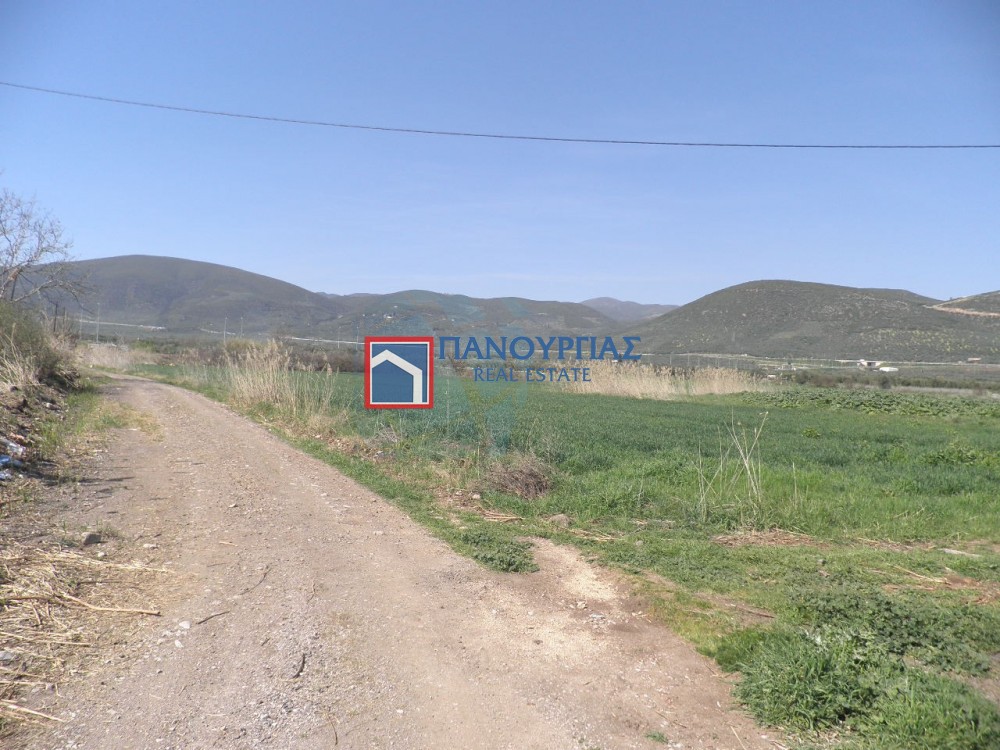 Αγροτεμάχια 8.800 τ.μ. προς πώληση, Μελίσσια Στυλίδας