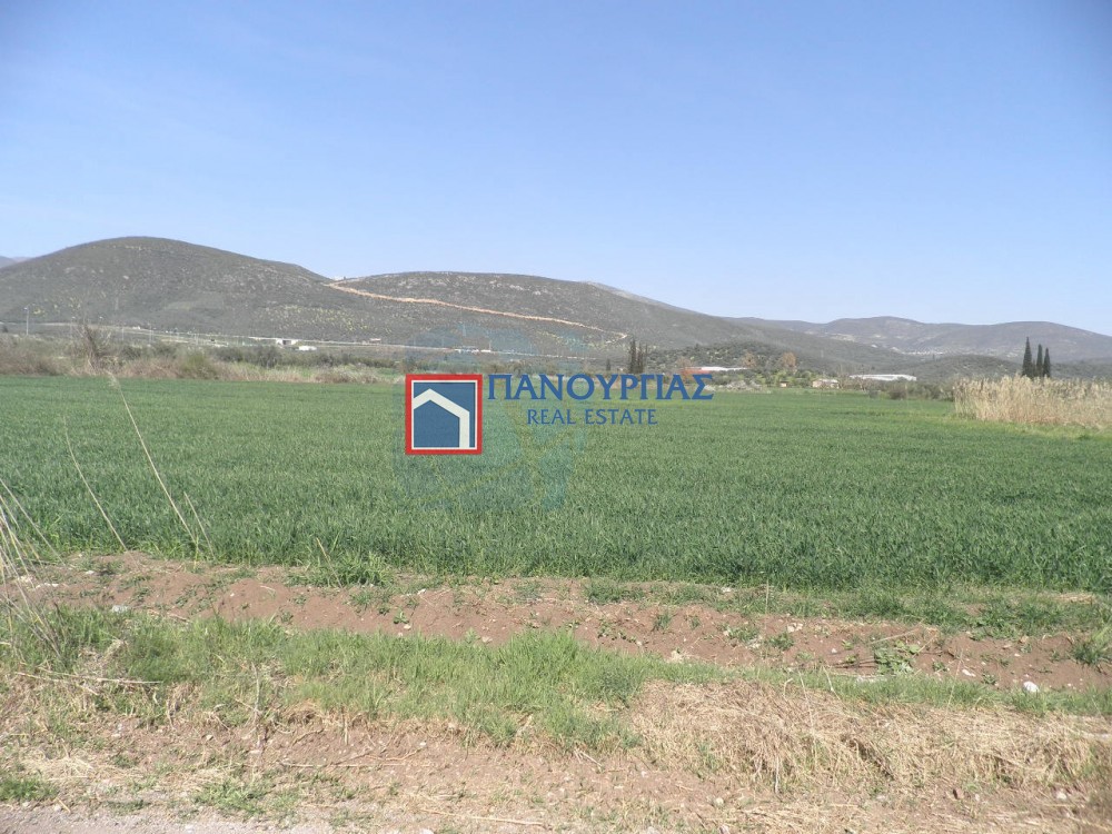 Αγροτεμάχια 8.800 τ.μ. προς πώληση, Μελίσσια Στυλίδας