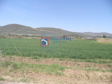 Αγροτεμάχια 8.800τ.μ. για πώληση-Στυλίδα » Μελίσσια
