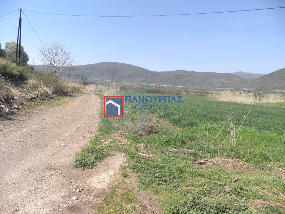Αγροτεμάχια 8.800 τ.μ. προς πώληση, Μελίσσια Στυλίδας