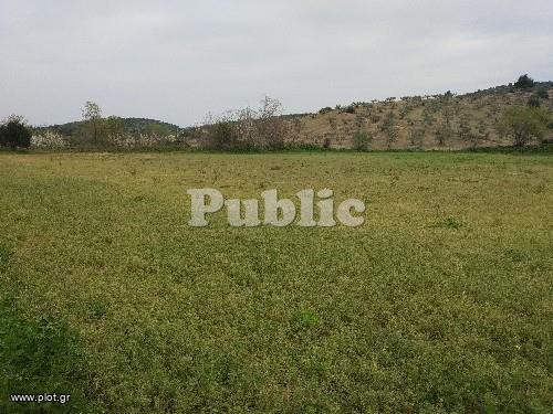 Οικόπεδο 10.000 τ.μ. προς πώληση, Κέντρο Ιστιαίας