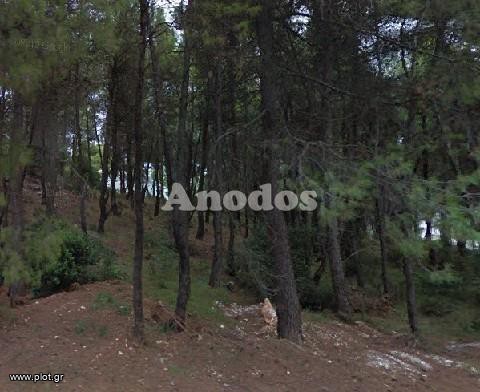 Οικόπεδο 1.800 τ.μ. προς πώληση, Κέντρο Διονύσου