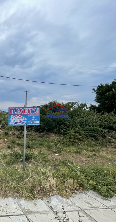 Αγροτεμάχια 12.000 τ.μ. προς πώληση, Απαλός