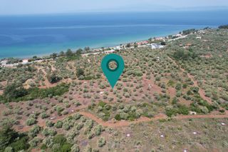 Αγροτεμάχια 5.981 τ.μ. για πώληση