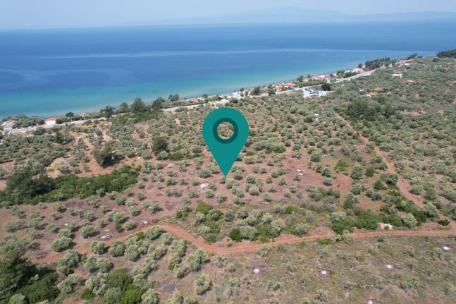 Αγροτεμάχια 5.981 τ.μ. για πώληση, Ν. Καβάλας, Θάσος