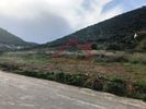 Οικόπεδο 2.415τ.μ. για πώληση-Μαρκόπουλο » Πόρτο ράφτη