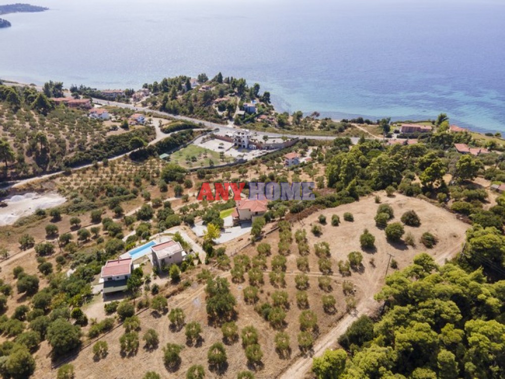 Αγροτεμάχια 6.900 τ.μ. προς πώληση, Τριπόταμος Σιθωνίας