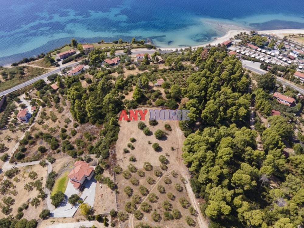 Αγροτεμάχια 6.900 τ.μ. προς πώληση, Τριπόταμος Σιθωνίας