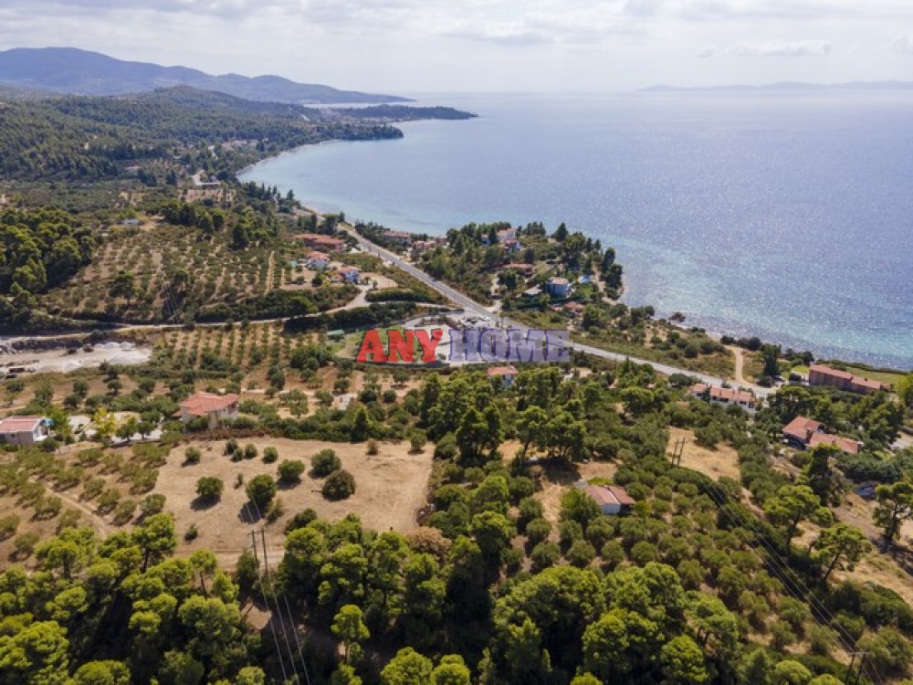 Αγροτεμάχια 6.900 τ.μ. προς πώληση, Τριπόταμος Σιθωνίας