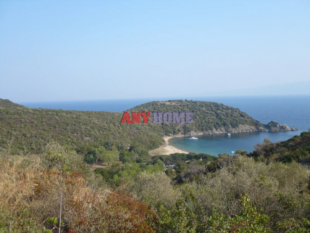 Αγροτεμάχια 8.464 τ.μ. προς πώληση, Αμολιανή