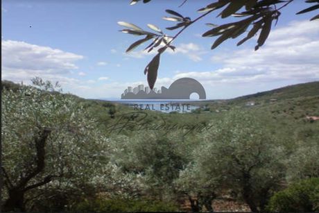 Αγροτεμάχια 5.620τ.μ. για πώληση-Σηπιάδα » Μαύρη πέτρα