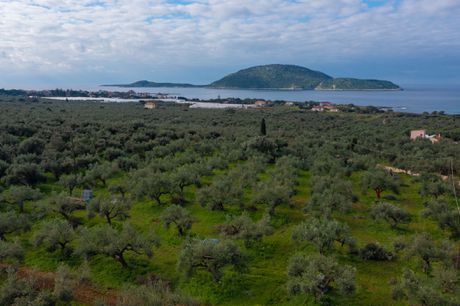 Οικόπεδο 10.749τ.μ. για πώληση-Γαργαλιάνοι » Μαραθόπολη