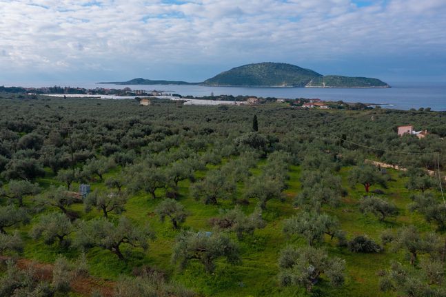 Οικόπεδο 10.749 τ.μ. για πώληση, Μεσσηνία, Γαργαλιάνοι