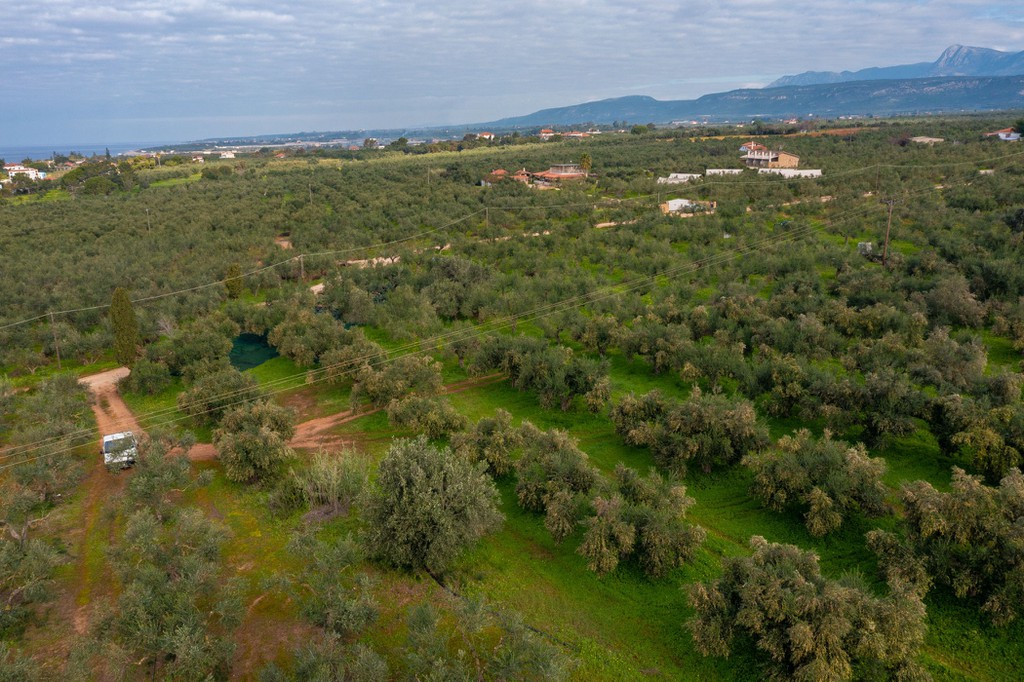 Οικόπεδο 10.749 τ.μ. προς πώληση, Μαραθόπολη