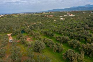 Οικόπεδο 10.749 τ.μ. για πώληση, Μεσσηνία, Γαργαλιάνοι-thumb-3