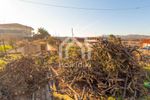 Land plot 500sqm for sale-Sithonia » Parthenonas