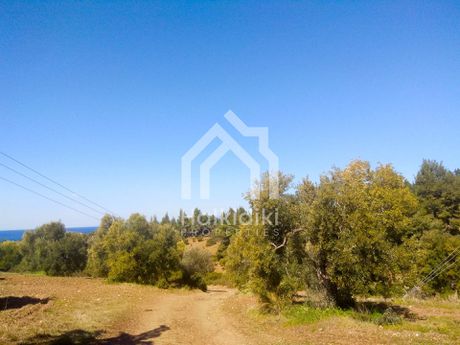 Αγροτεμάχια 4.200 τ.μ. για πώληση